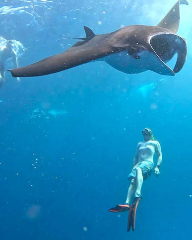 Nusa Penida Snorkeling Day Tour